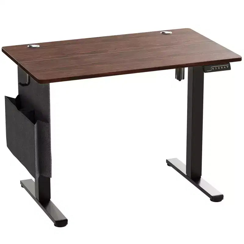 Bestier 55 Electric Standing Computer Desk with USB Port, Height Adjustable Simple Home Office Desk with Hooks & Side Bag, Sit to Stand workstation