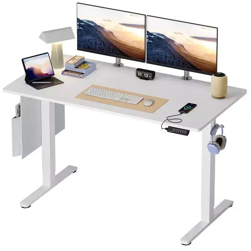 Bestier 55 Electric Standing Computer Desk with USB Port, Height Adjustable Simple Home Office Desk with Hooks & Side Bag, Sit to Stand workstation