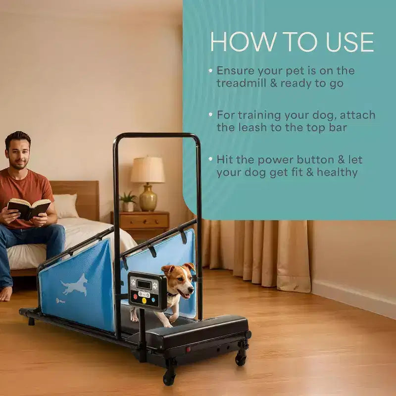 LifePro PawRunner Dog Treadmill for Small & Medium Dogs  Indoor Pet Running Machine up to 130lb, Compact Dog Running Pad for Fitness & Training