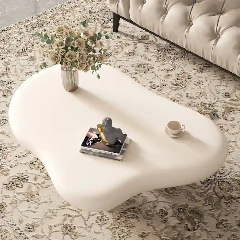 48.5 Modern Cloud Shape 4 Legs Coffee Table