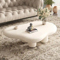 48.5 Modern Cloud Shape 4 Legs Coffee Table