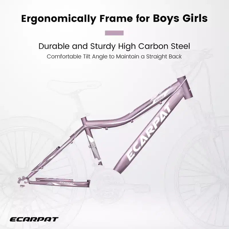 Zeus & Ruta 26 Mountain Bike with 21-Speed Gear, Front Suspension, V-Brake, Carbon Steel Frame Bicycle for Teens and Women
