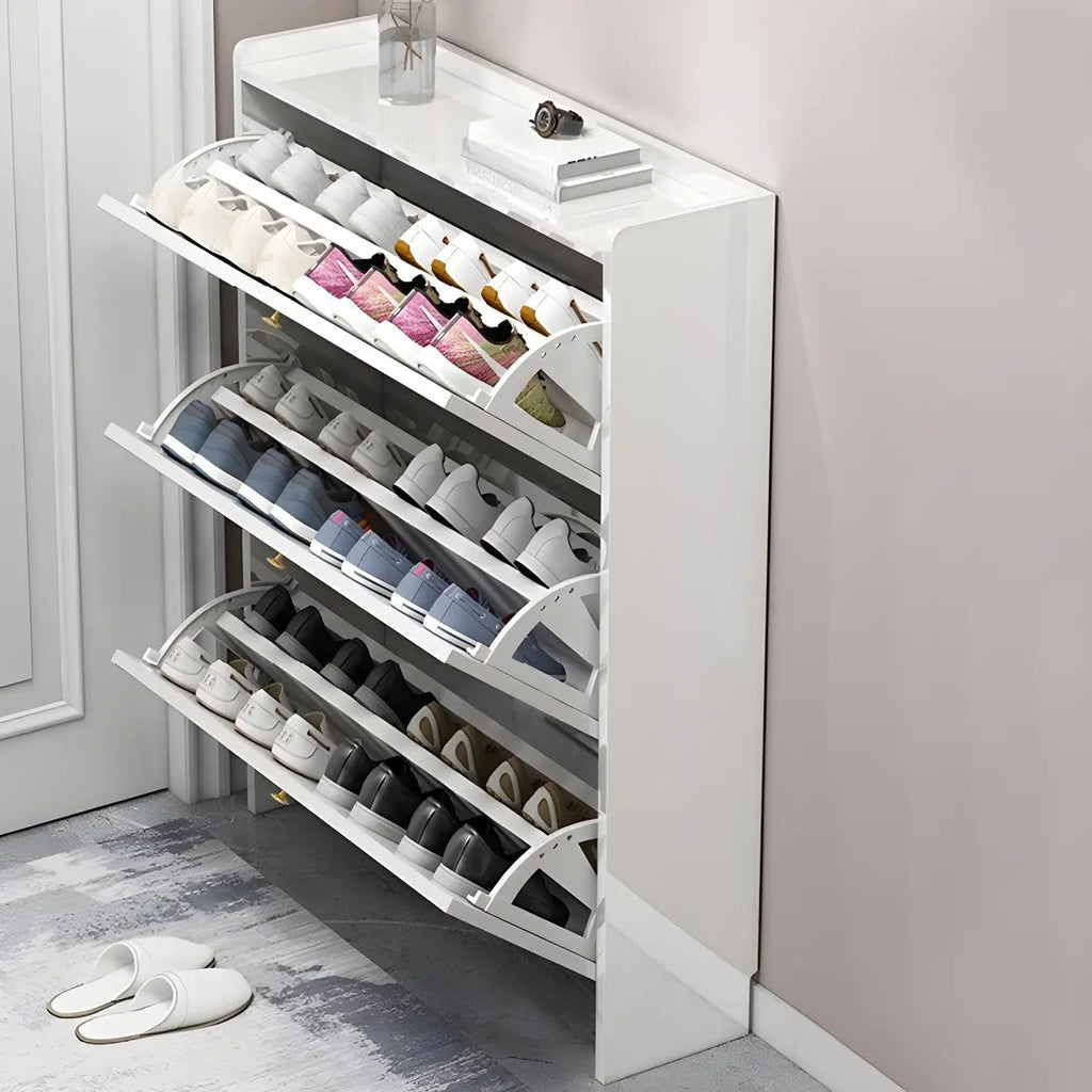 Entryway Glam Black Shoe Storage with Adjustable Shelves