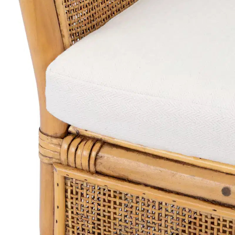 Jessica Rattan Accent Chair W/ Cushion - ACH6519A - White/Honey Brown Wash - Safavieh