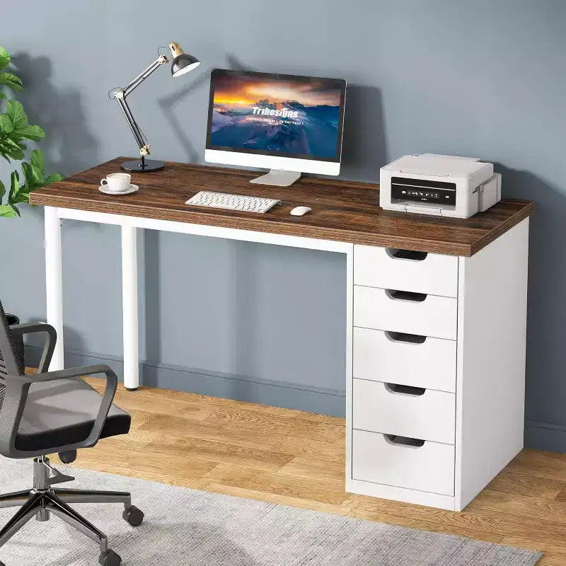 Lantine Computer Desk with 5 Drawers, 47 inches Modern Simple Home Office Desk Study Writing Table for Small Spaces