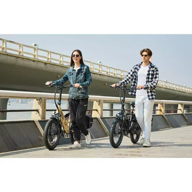 Vélo électrique pliable adulte GoPowerBike GoPlus